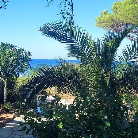 Apartment Sant'ambroggio - Marina De - Bord De Corse